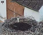 Capi_Dubne_20260919_080002.jpg