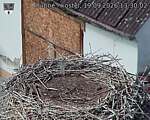 Capi_Dubne_20260919_133002.jpg