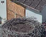 Capi_Dubne_20260919_141004.jpg