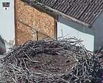 Capi_Dubne_20260919_143504.jpg