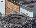 Capi_Dubne_20260919_145004.jpg