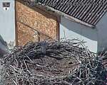 Capi_Dubne_20260919_152502.jpg