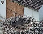 Capi_Dubne_20260919_170004.jpg