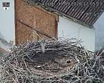 Capi_Dubne_20260919_170503.jpg