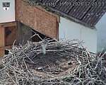 Capi_Dubne_20260919_172004.jpg