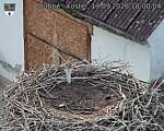 Capi_Dubne_20260919_180004.jpg