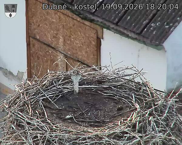 Capi_Dubne_20260919_182004.jpg (1350&nbsp;x&nbsp;1080)