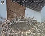 Capi_Dubne_20260919_183002.jpg