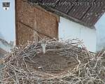 Capi_Dubne_20260919_183503.jpg