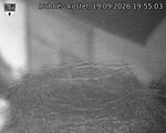 Capi_Dubne_20260919_195503.jpg