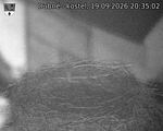 Capi_Dubne_20260919_203502.jpg