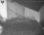 Capi_Dubne_20260919_215503.jpg