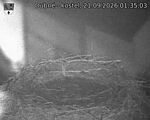 Capi_Dubne_20260921_013503.jpg