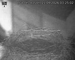 Capi_Dubne_20260921_032502.jpg