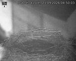 Capi_Dubne_20260921_045003.jpg