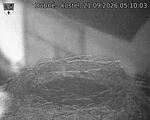 Capi_Dubne_20260921_051003.jpg
