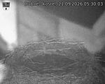Capi_Dubne_20260921_053003.jpg