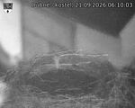 Capi_Dubne_20260921_061003.jpg