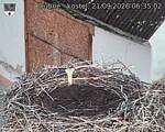 Capi_Dubne_20260921_063503.jpg