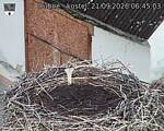 Capi_Dubne_20260921_064503.jpg
