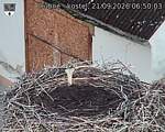 Capi_Dubne_20260921_065003.jpg