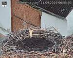 Capi_Dubne_20260921_065503.jpg