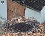 Capi_Dubne_20260921_070003.jpg