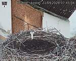 Capi_Dubne_20260921_074504.jpg