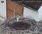 Capi_Dubne_20260921_075004.jpg