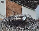 Capi_Dubne_20260921_080504.jpg