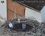 Capi_Dubne_20260921_081004.jpg