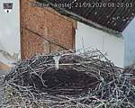 Capi_Dubne_20260921_082003.jpg