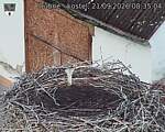 Capi_Dubne_20260921_083504.jpg