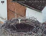Capi_Dubne_20260921_084003.jpg