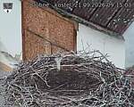 Capi_Dubne_20260921_091503.jpg