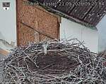 Capi_Dubne_20260921_092004.jpg