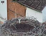 Capi_Dubne_20260921_093002.jpg