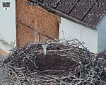 Capi_Dubne_20260921_101004.jpg