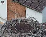 Capi_Dubne_20260921_102004.jpg