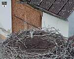 Capi_Dubne_20260921_102504.jpg