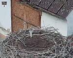 Capi_Dubne_20260921_103003.jpg