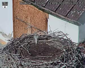 preload