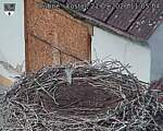 Capi_Dubne_20260921_110504.jpg