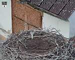 Capi_Dubne_20260921_111004.jpg
