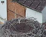 Capi_Dubne_20260921_114004.jpg