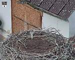 Capi_Dubne_20260921_115004.jpg