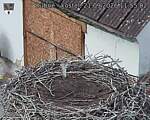 Capi_Dubne_20260921_115502.jpg
