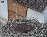 Capi_Dubne_20260921_120504.jpg