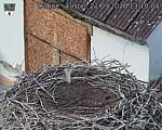 Capi_Dubne_20260921_131004.jpg