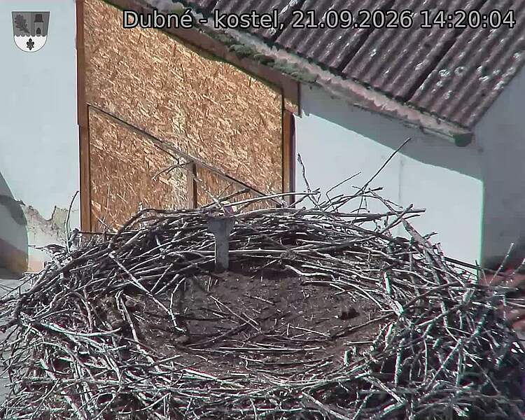 preload